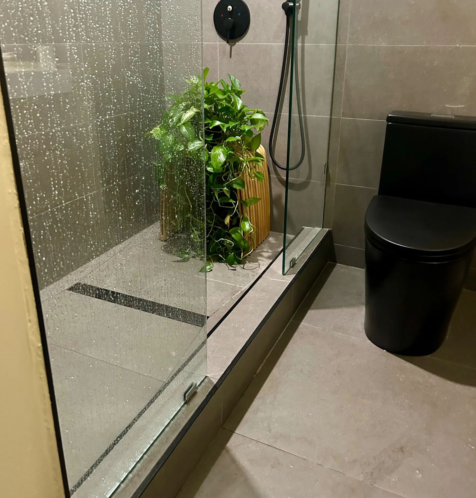 Finished shower with glass and black toilet
